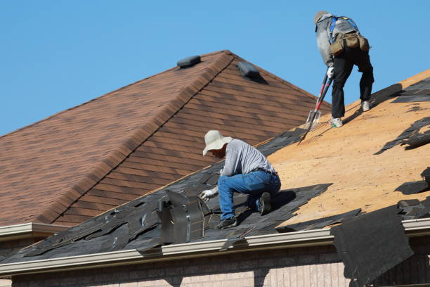 Best Green or Eco-Friendly Roofing Solutions  in Red Cloud, NE